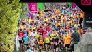 L’Olla de Tapis bull a ritme de rècord