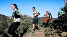 La Querroig Trail s’estrena amb èxit