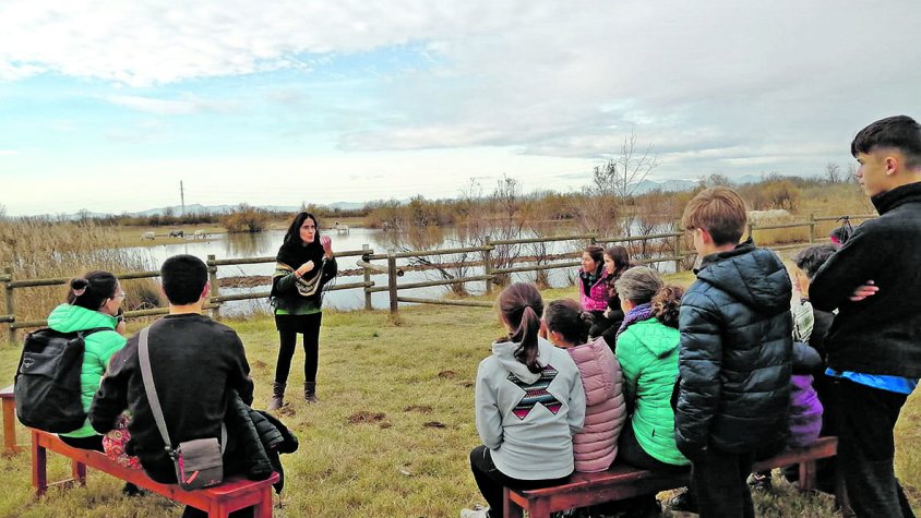 El Festival de les Aus acosta ocells i natura al públic