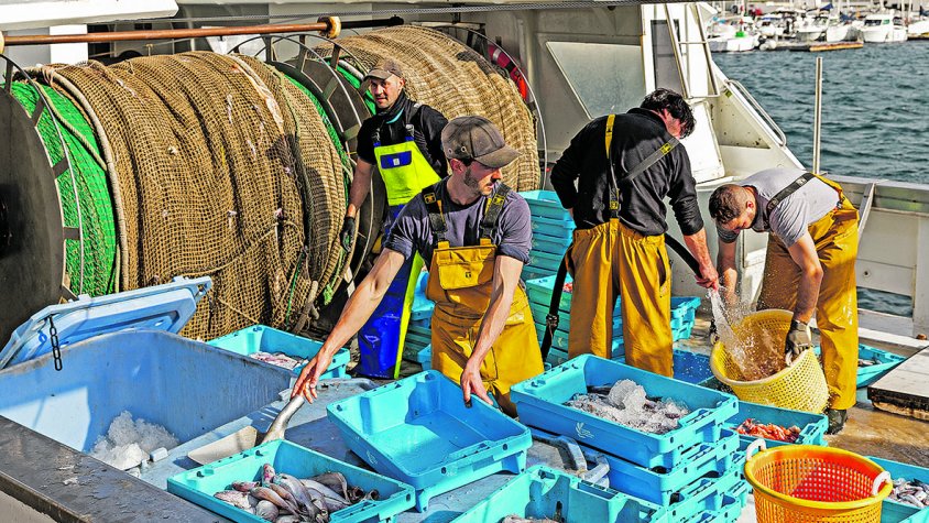 Comença la veda biològica per a la pesca d’arrossegament