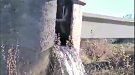 Denuncien un malbaratament de l’aigua durant el Nadal per mala planificació