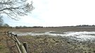 Una biodiversitat assedegada