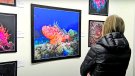Immersió fotogràfica a la badia de Roses