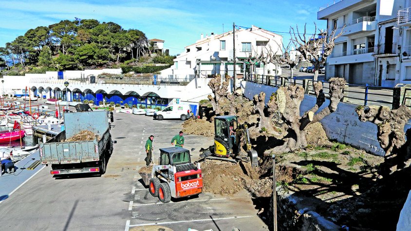 El Club Nàutic Port de la Selva instal·larà una dessalinitzadora