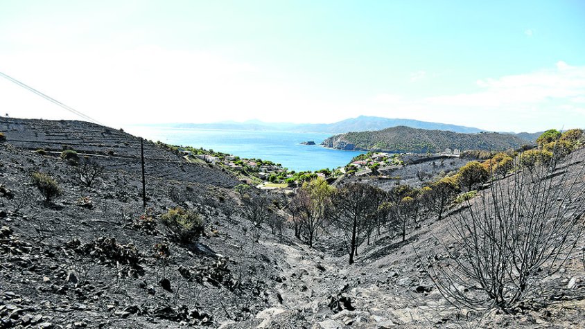 Ajudes per a la prevenció d’incendis forestals a l’Albera i el cap de Creus