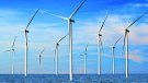 La Generalitat demana no primar l’aspecte econòmic a les subhastes de parcs eòlics marins