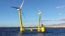 Avança la tramitació de la plataforma marina