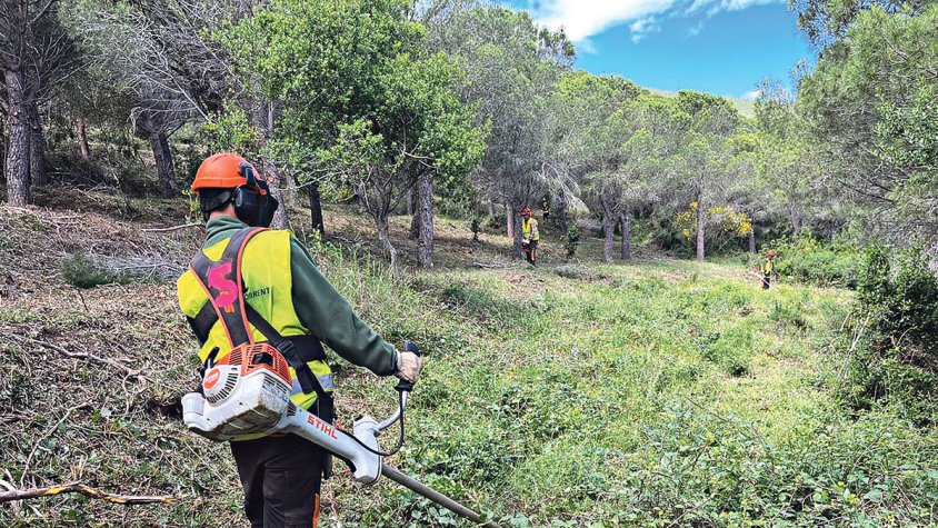Netegen boscos estratègics de Colera per evitar-hi focs com els de l’any passat