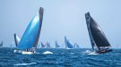 La badia rep els millors catamarans