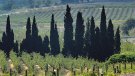 Els cellers de la DO Empordà facturen 40 milions d’euros anuals