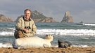 El deute pendent amb la foca monjo
