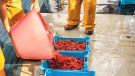 El sector pesquer demana retirar restriccions 