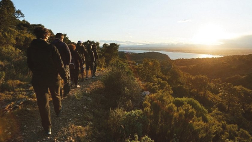 El Festival Sea Walking caminarà aviat