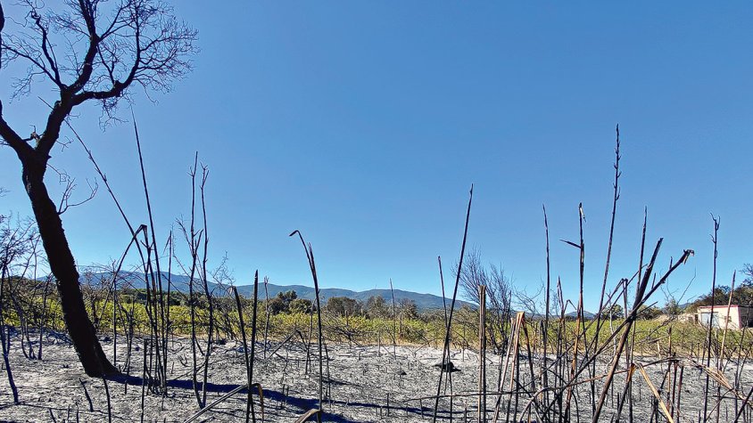 Cremen 31,30 hectàrees agrícoles i forestals