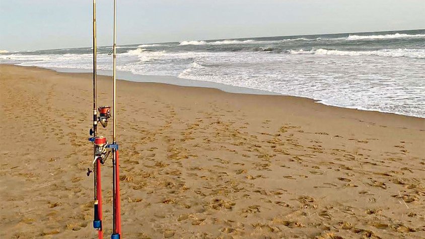 La pesca recreativa regula la captura de 46 espècies 