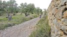 Els ajuts LEADER 2023 beneficien 10 empreses de la comarca