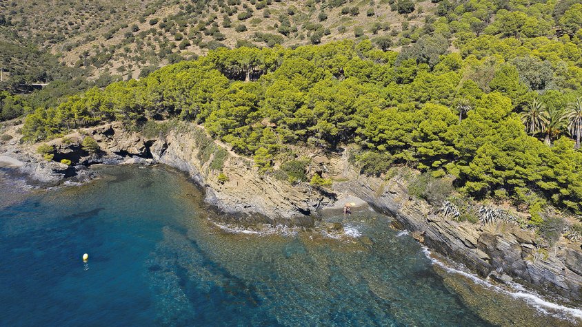 Baranes al llarg del camí de ronda