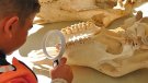 Els museus de la demarcació gironina envaixen la Rambla