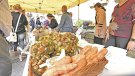 Maçanet de Cabrenys, epicentre de la castanya i el producte de la terra