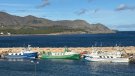 Els pescadors aturen l'activitat avui i demà en protesta per les limitacions de la Comissió Europea