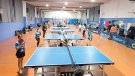 El somni del Tramuntana, més a prop