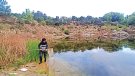 Identifiquen 144 pedreres abandonades que poden ser refugi de fauna amenaçada