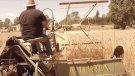 A la cerca del Pagès de Ferro