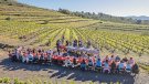 El 12è Vívid celebrarà el mig segle de la DO Empordà