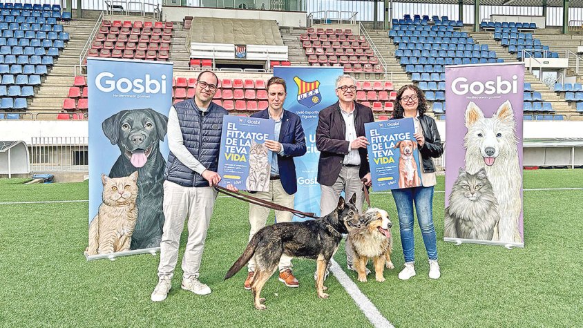 Vilatenim acollirà una jornada d’adopcions en el partit entre la UE <a href=