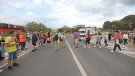 Llançà podria tenir dos dels semàfors de l’N-260 per l’estiu