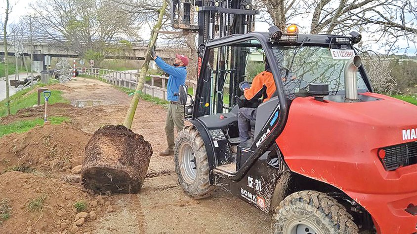 Planten 450 arbres a la  Via Verda de la Muga
