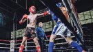 El plaer del combat