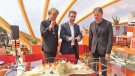 L’avantprojecte de Ruiz Geli, a la Biennal de Venècia