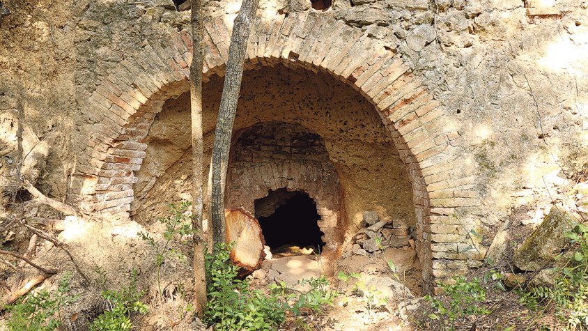 Tresors darrere la malesa