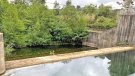 L’ACA licita la millora de l’assut de la Muga a Pont de Molins