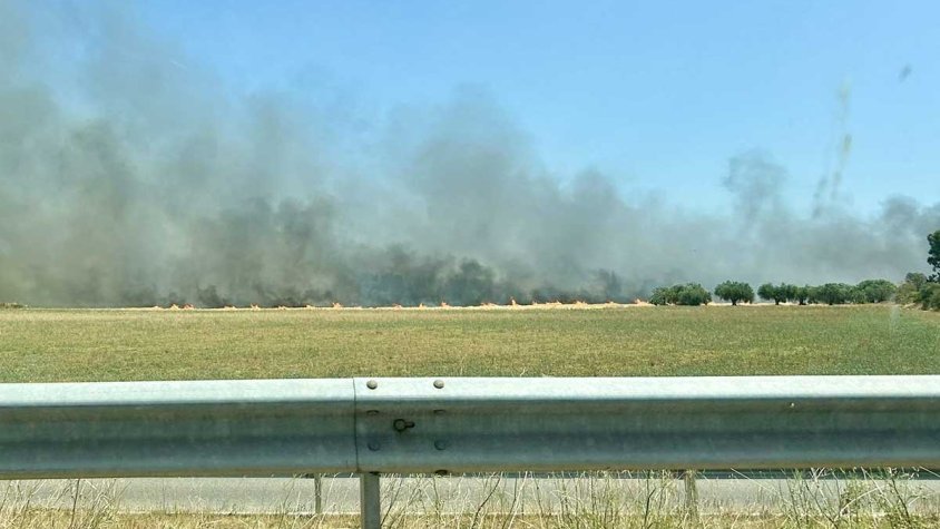 Alerta per un foc de vegetació al Far d'Empordà