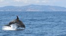 Prova pilot per videovigilar el litoral, al Cap de Creus