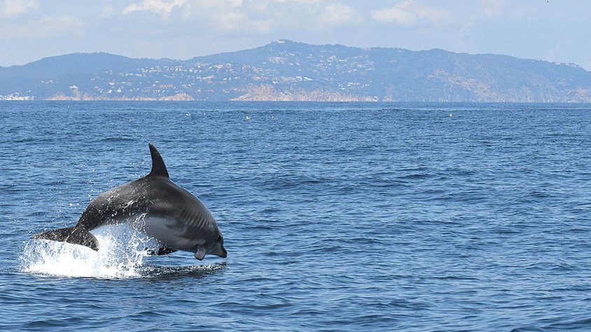 Prova pilot per videovigilar el litoral, al Cap de Creus