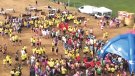 El Barretina Rural Fest celebra 10 edicions
