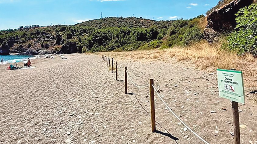 Preservació del sistema dunar de Colera