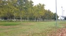 Un producte estabilitzador reduirà la pols a l’espai de les barraques de <a href=