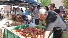 L’Armentera celebra la 29a  Fira de la Poma