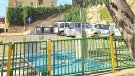 El lledoner de la Font Mallola s’ha de talar per risc de caiguda