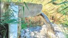 Millora de la gestió de l’aigua i creació d’una zona humida