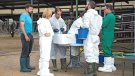 130.000 caps de bestiar en el radi de protecció contra la DNC