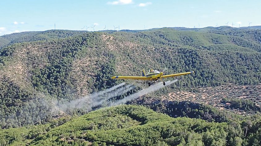 Ruixen 2.219 ha per controlar la processionària del pi