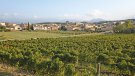 Descobrir el paisatge i el patrimoni de Capmany sobre dues rodes