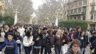Centenars d’adolescents surten a la recerca de ‘therians’
