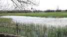 Acció per assegurar un mínim d’aigua als estanys del Matà