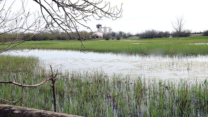 Acció per assegurar un mínim d’aigua als estanys del Matà